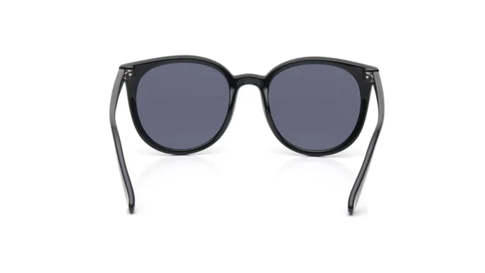Smoke Colored Lens Round Shaped Sunglasses for Women - Image 4