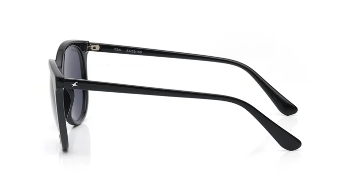 Smoke Colored Lens Round Shaped Sunglasses for Women - Image 7