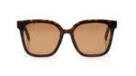 Brown Colored Lens Wayfarer Shaped Sunglasses for Women