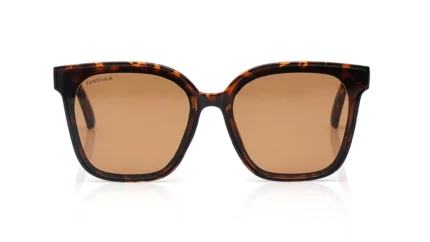Brown Colored Lens Wayfarer Shaped Sunglasses for Women