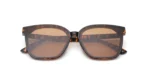Brown Colored Lens Wayfarer Shaped Sunglasses for Women - Image 3